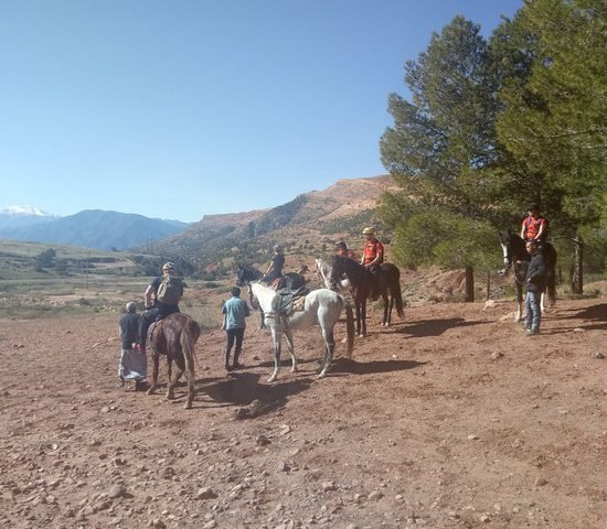 horse riding in atlas mountains (7)