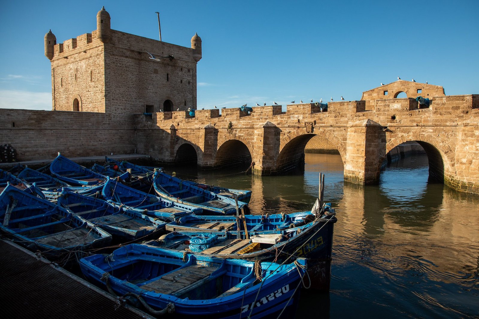 Dagtrip Naar Essaouira Vanuit Marrakech Groepsreizen Marokko