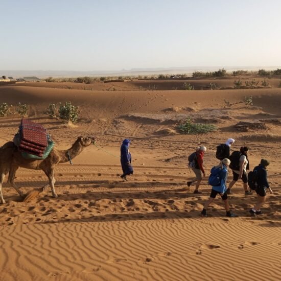 a9c8284f-f622-4343-8694-00adfb0828f4-550x550 Home