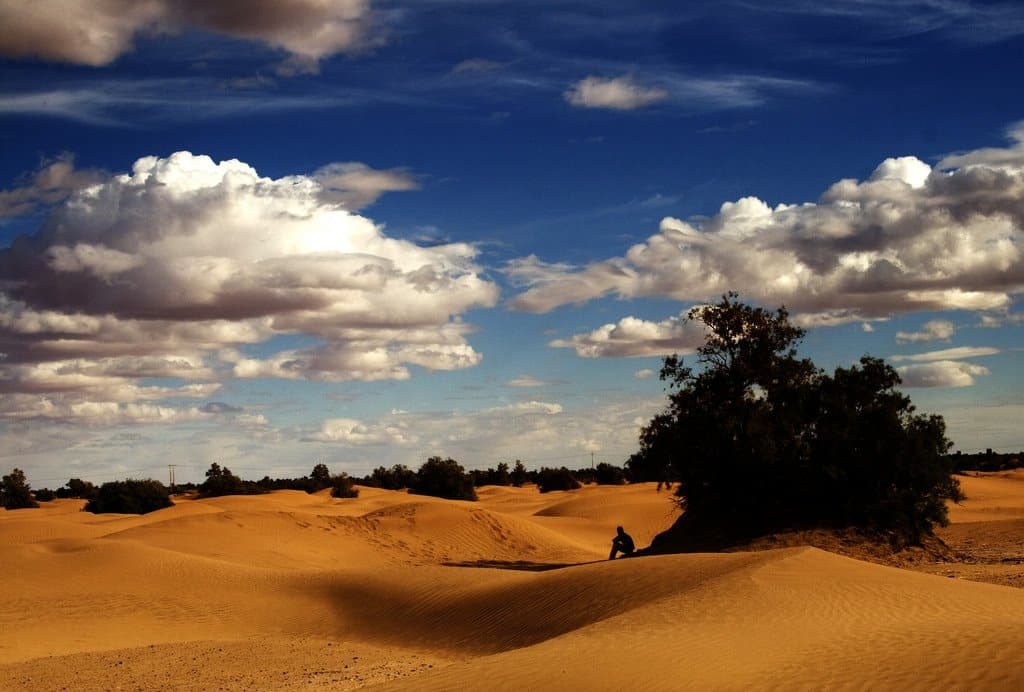 Sahara sand dunes and a lone tree under white clouds