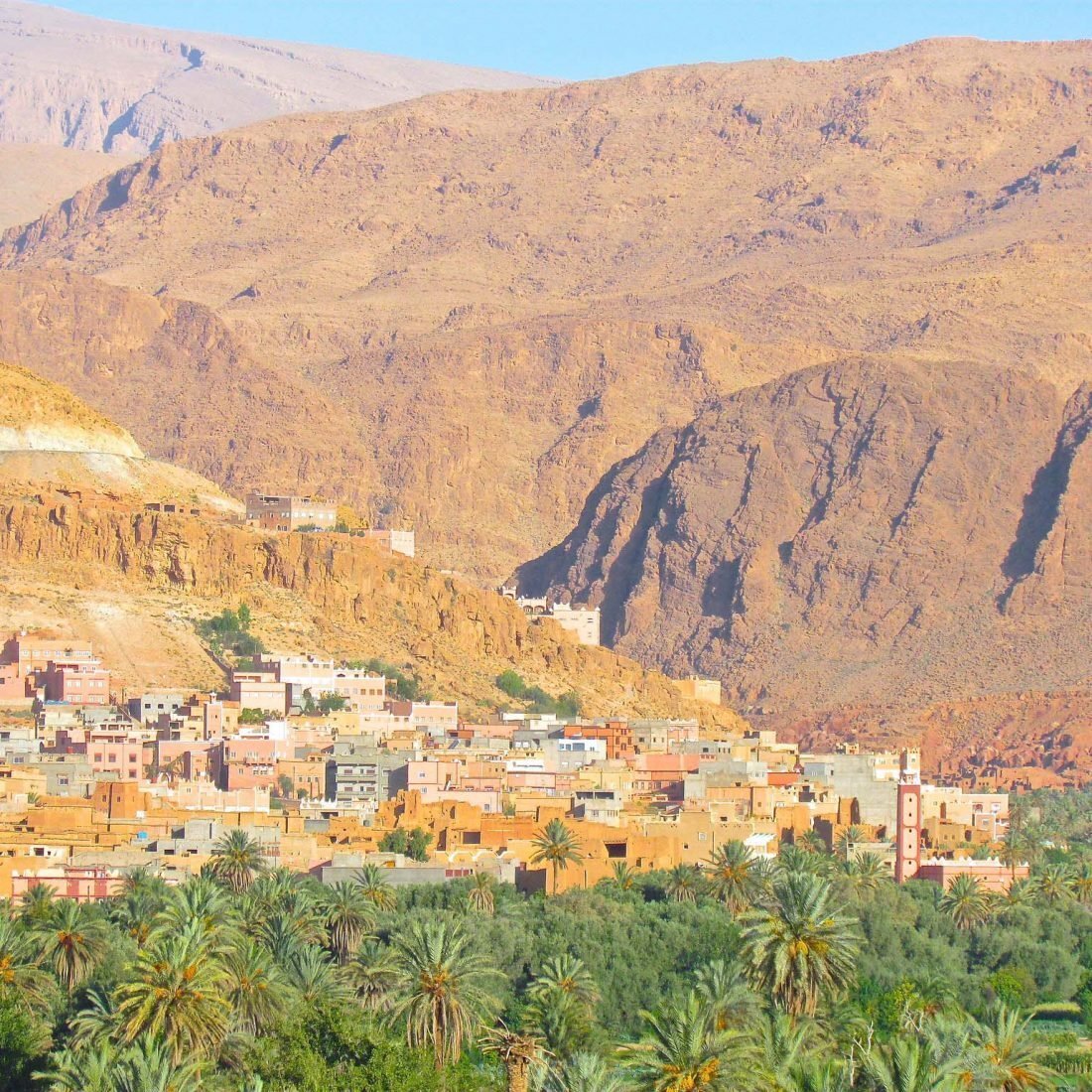Town beside a palm oasis below high cliffs
