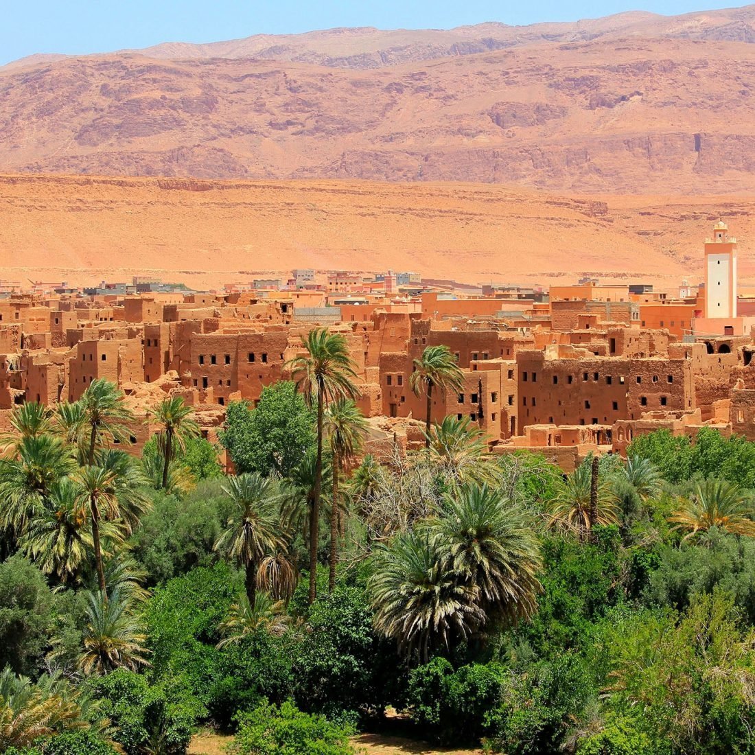 Palm grove in front of a mud-brick town and its minaret