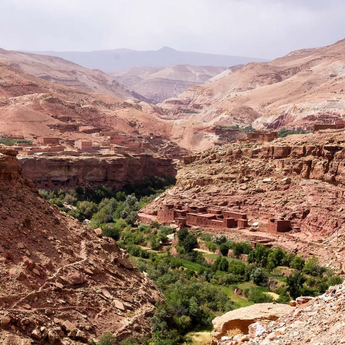 Green oasis at the bottom of a red-rock gorge