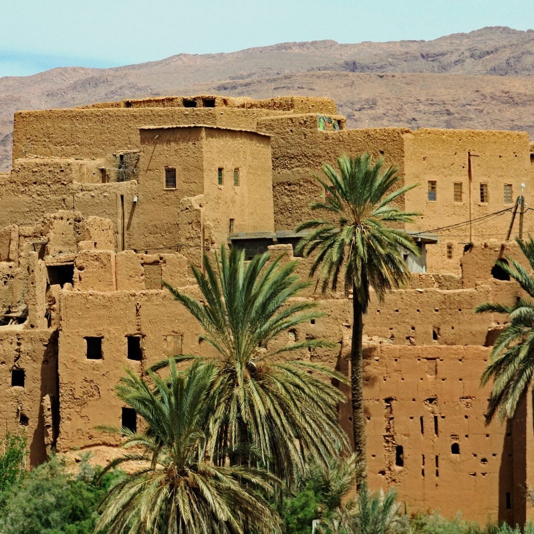 Mud-brick kasbah behind palm trees