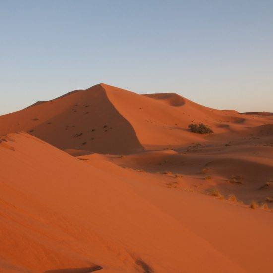 Orange Sahara sand dunes in the evening light