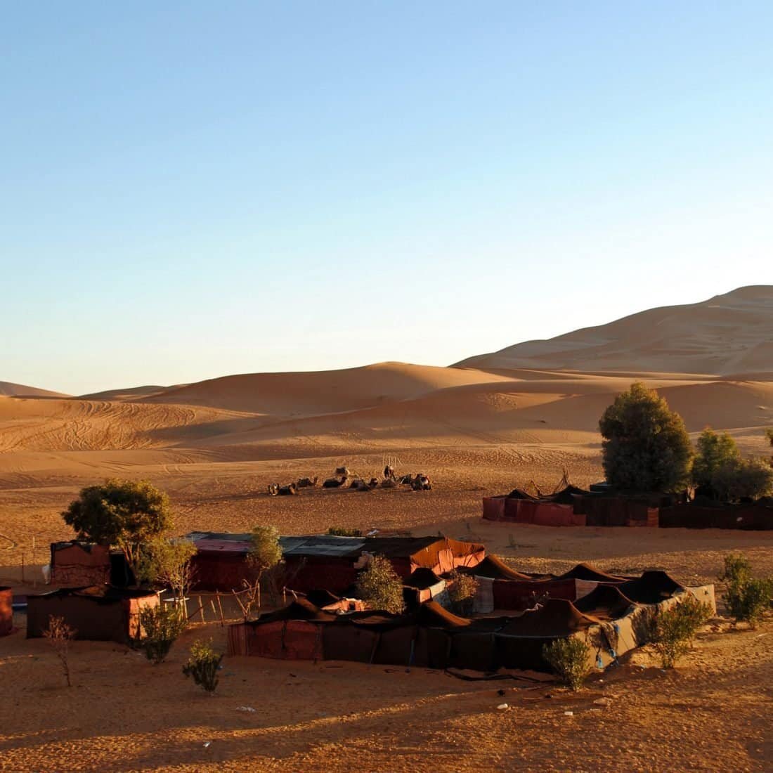 Desert camp tents among the dunes at sunset