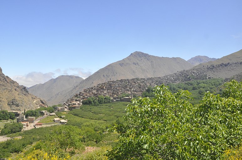 Green terraced fields and a village in a High Atlas valley