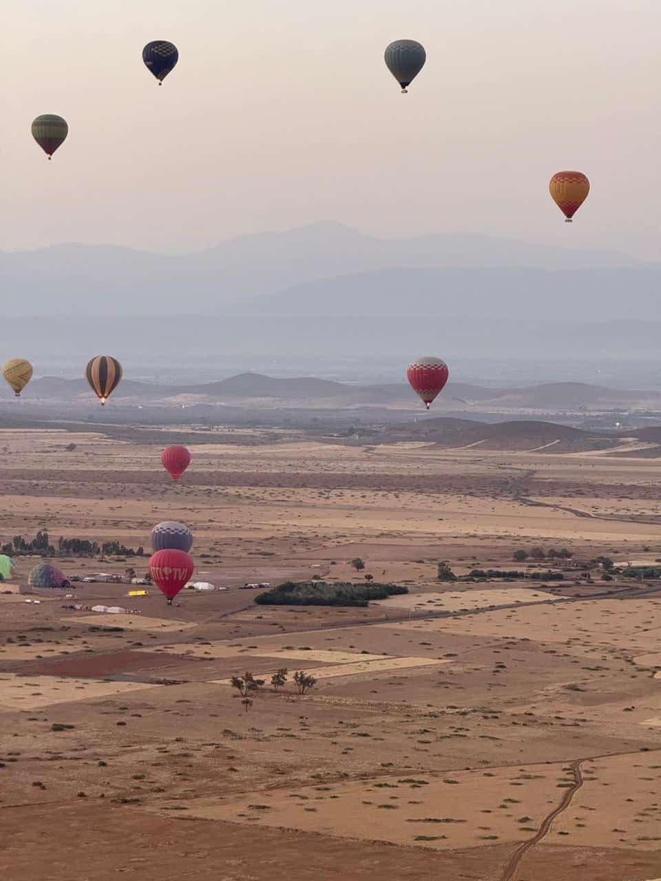Hot air balloons drifting over a desert plain at dawn
