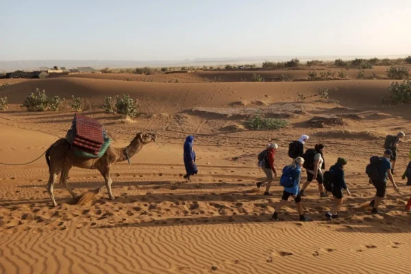 Camel trekking in Sahara desert Morocco