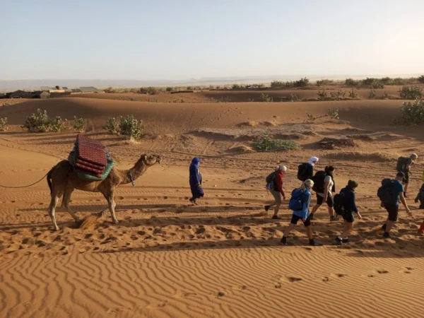 Camel trekking in Sahara desert Morocco