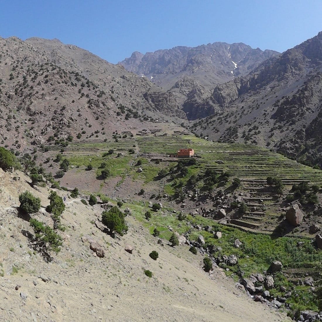 Terraced fields and a lone house on a slope in the Atlas Mountains