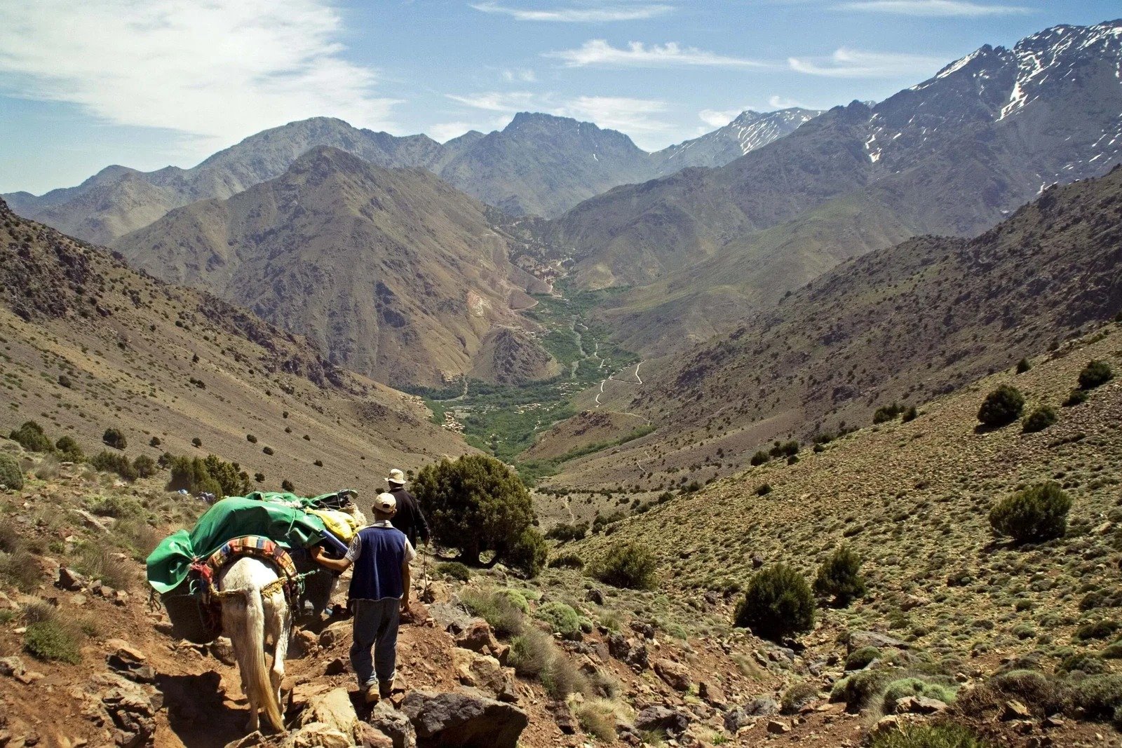 Muleteer leading a loaded mule on the trail above a green valley