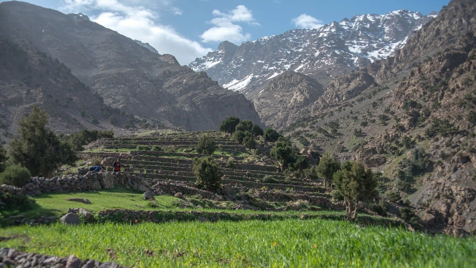 Green fields and terraces below the snowy High Atlas peaks