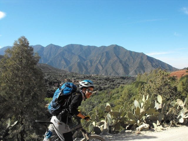 Mountain biker riding past prickly pear cactus in the Atlas foothills