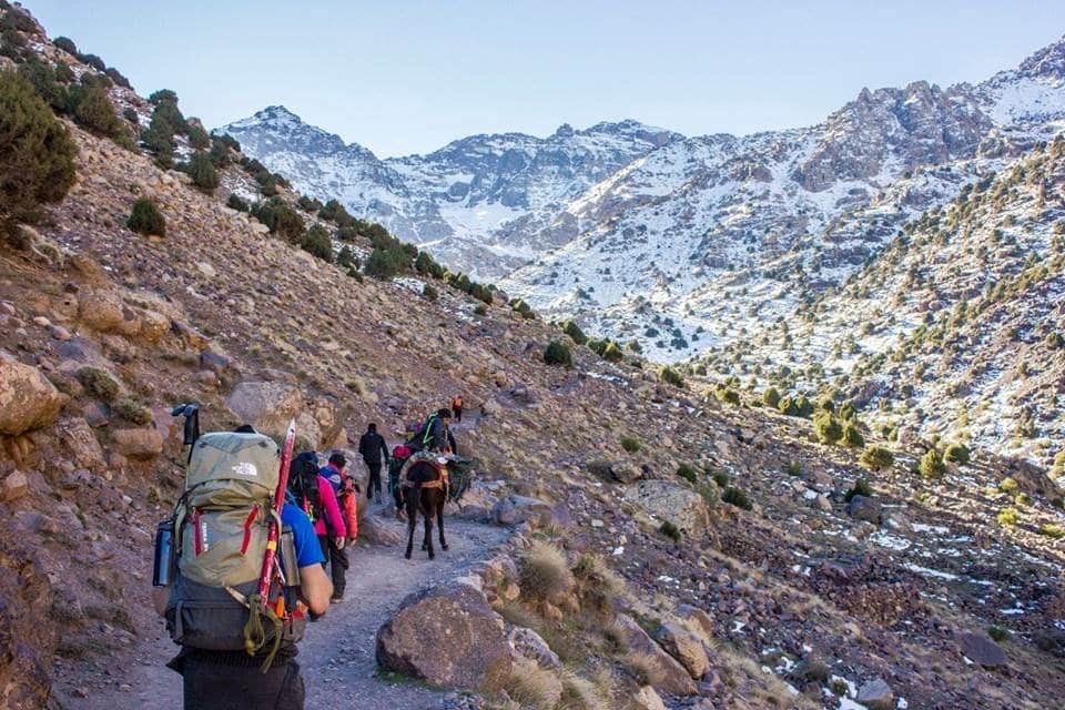 Trekkers and a pack mule on the trail towards the snowy peaks of the Toubkal massif