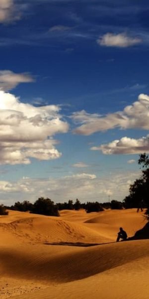 Sahara sand dunes and a lone tree under white clouds